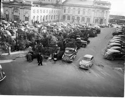 Christmas Trees For Sale in Market Square - V25.5-21-41 - 3 of 3