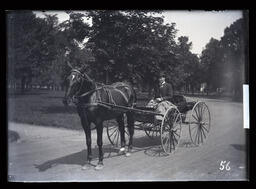 [Gentleman with a Horse and Wagon in City Park, Kingston]