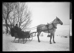 [Man Drives Horse and Cutter in Winter Scene]